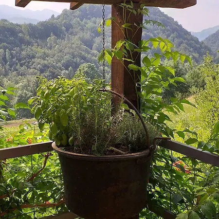 La Casina Nella Valle Feriehus